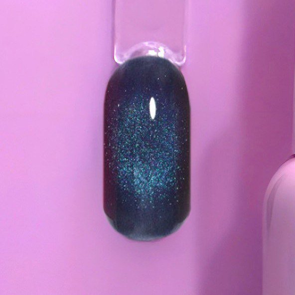 5931253293961120900 Esmalte semipermanente Fruit Cat Eye 02 Arándano Negro 8 ml – IB